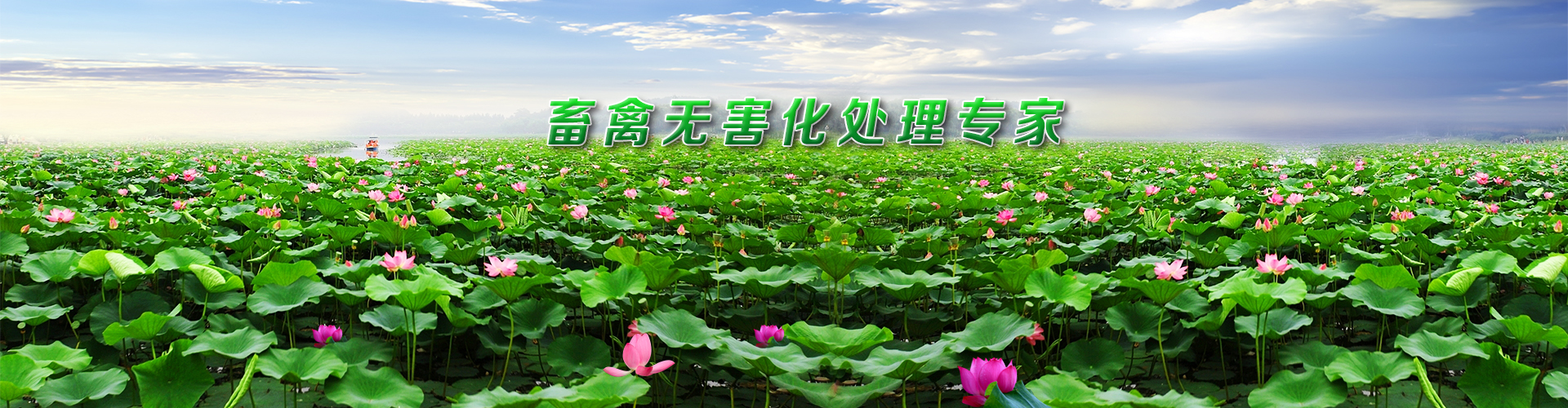 ̩̩̲޹˾